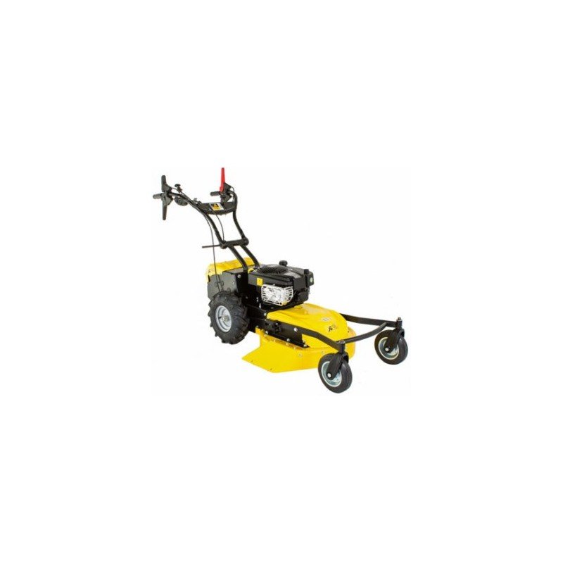 faucheuse-broyeuse-4-roues-rl210-h.jpg Faucheuse broyeuse 4 roues RL210 H – Image 1